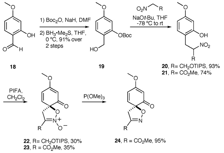 Scheme 5