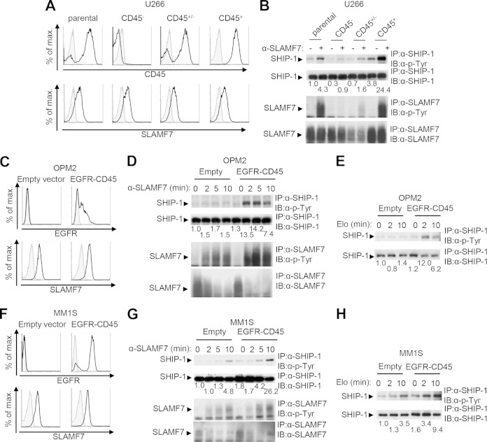 FIG 6