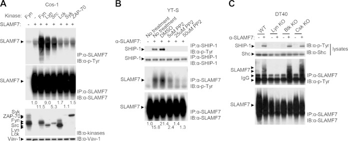 FIG 3