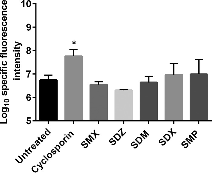 FIG 4