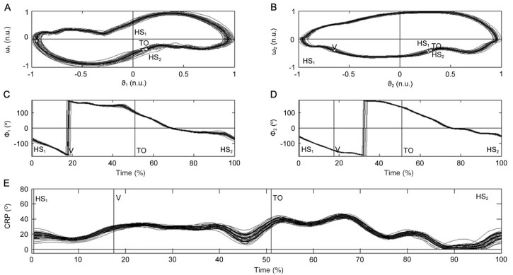 Fig. 2