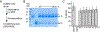 Figure 8: