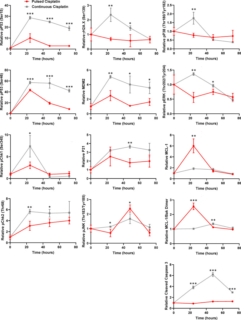 Figure 1—figure supplement 2.