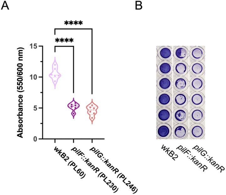 Fig 3.