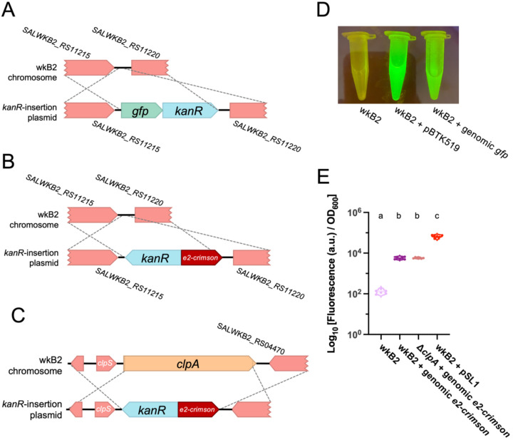 Fig 4.