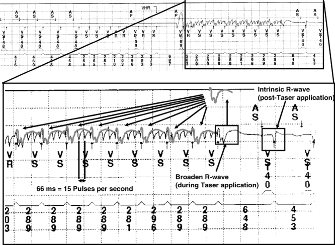 graphic file with name 18FF3.jpg