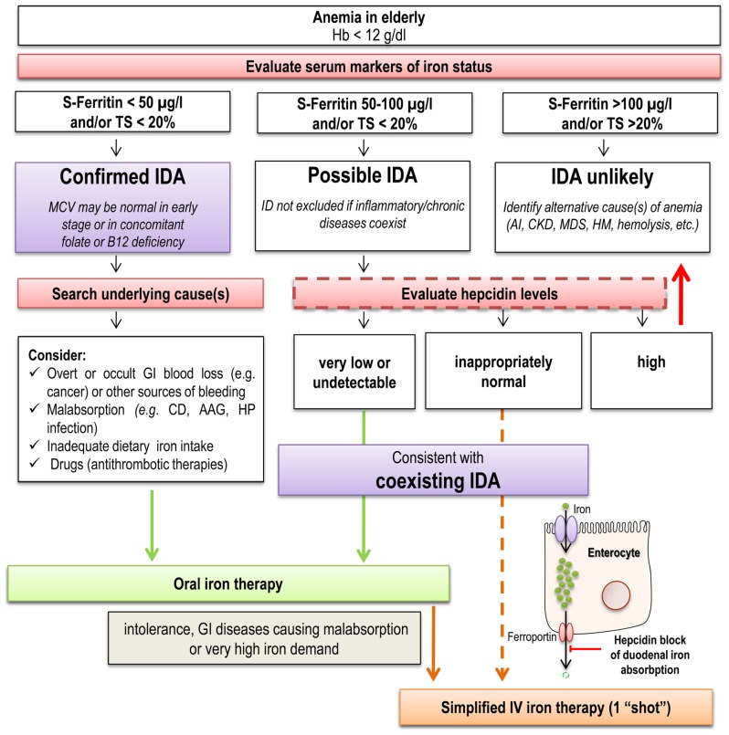 FIGURE 3