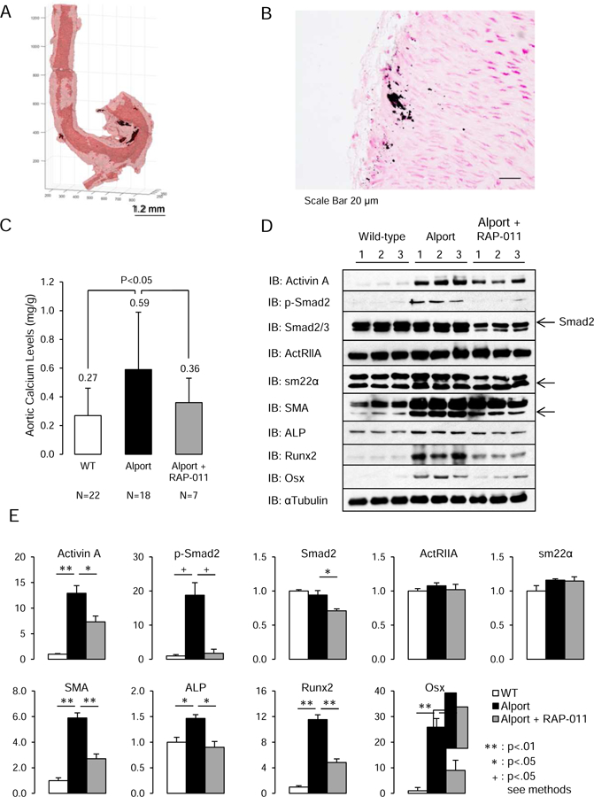 Figure two