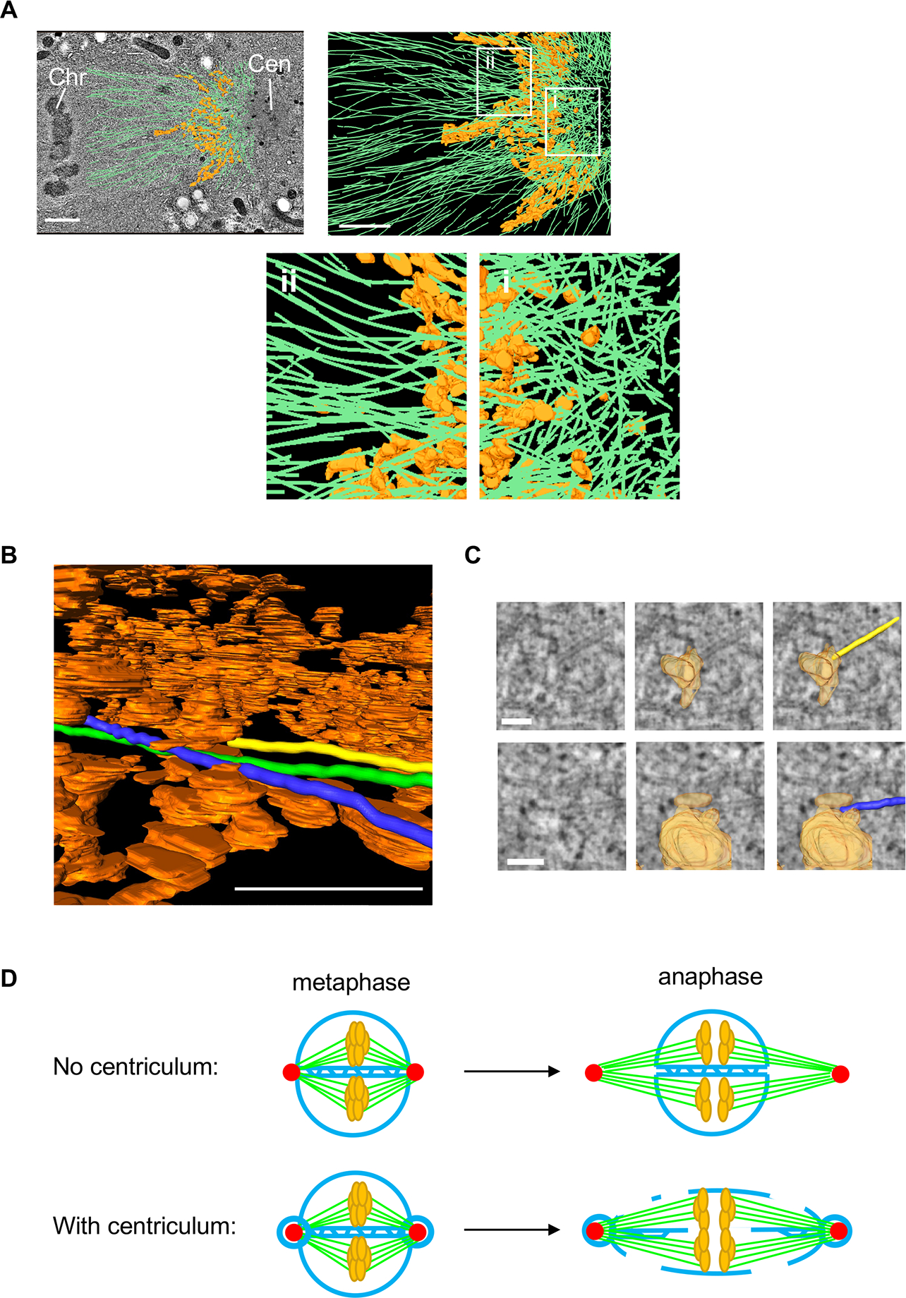 Figure 7: