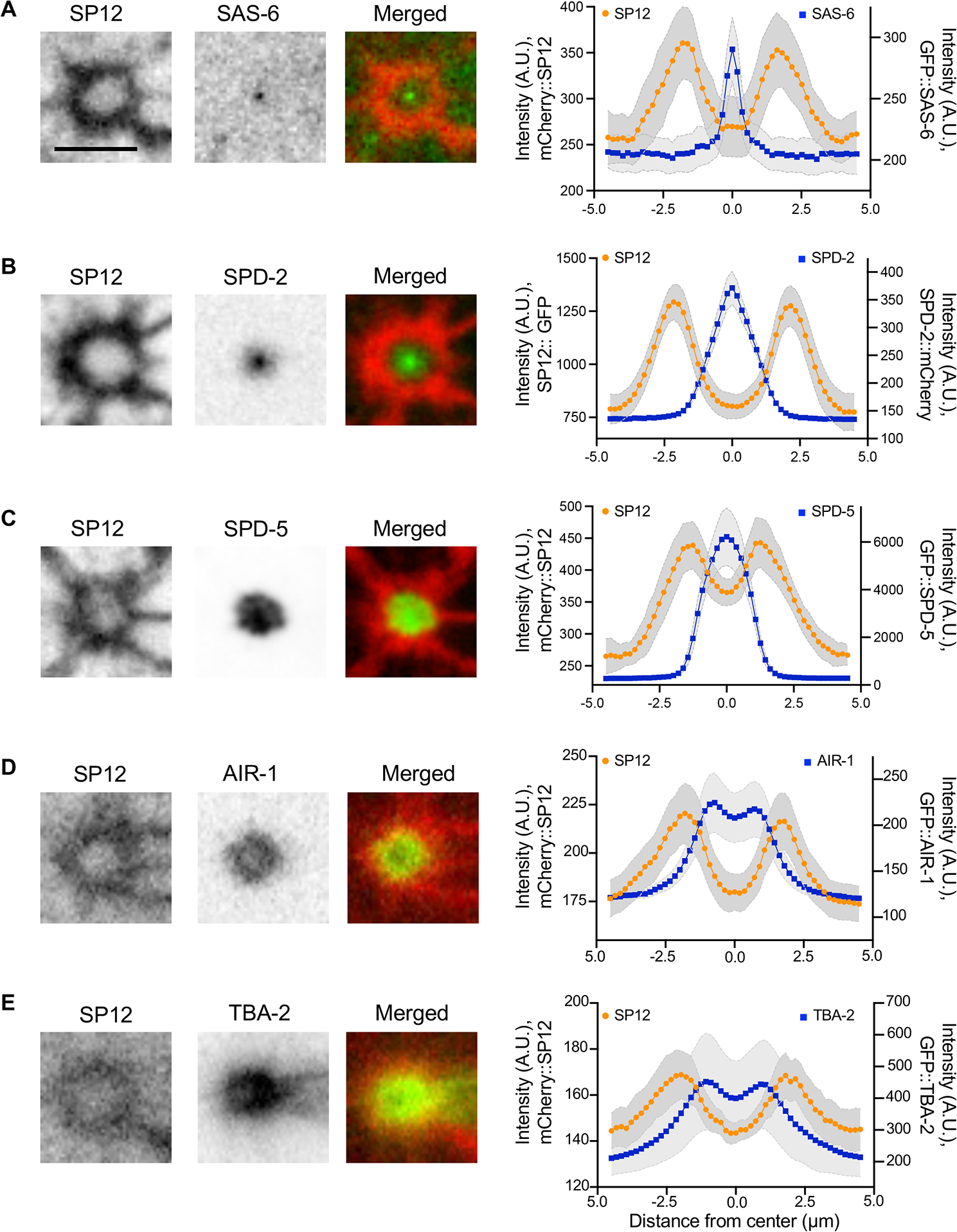 Figure 3: