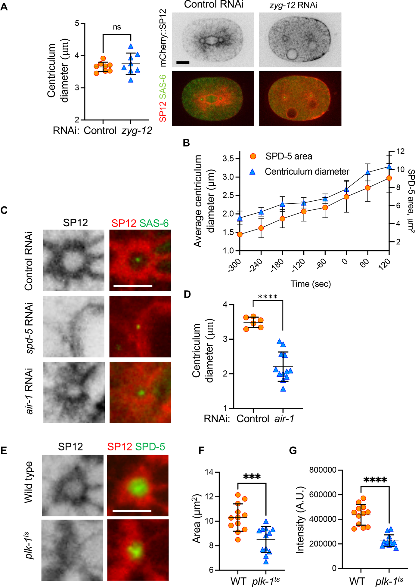 Figure 4: