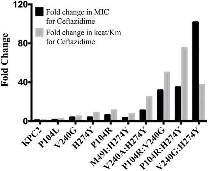 Fig 4