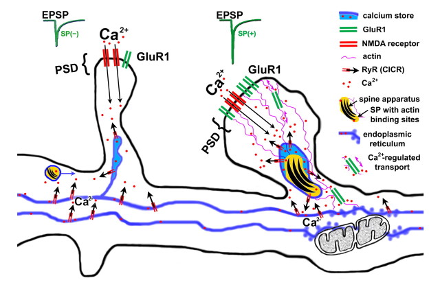 Figure 10.