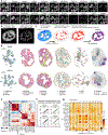 Extended Data Fig. 5 |