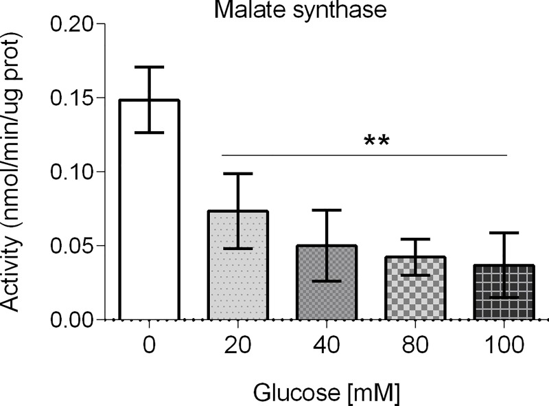 Fig 7