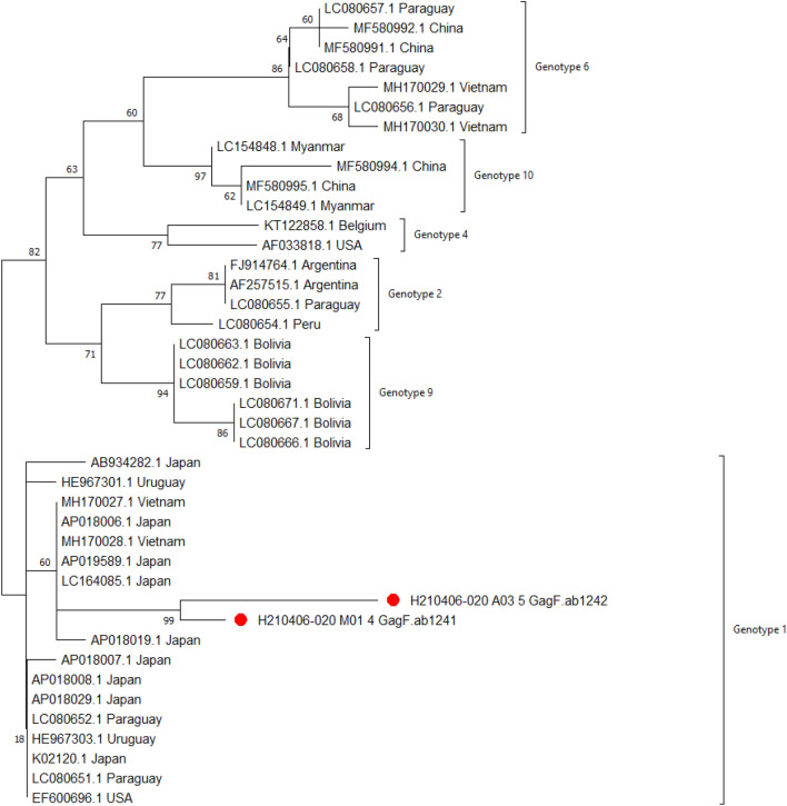 Figure 6