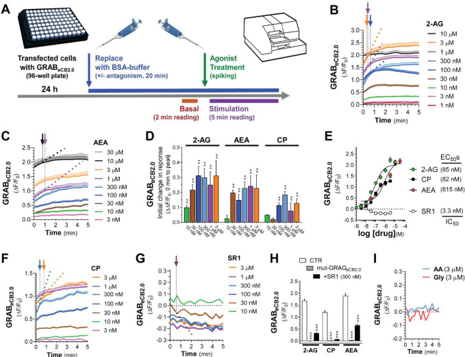 Figure 2: