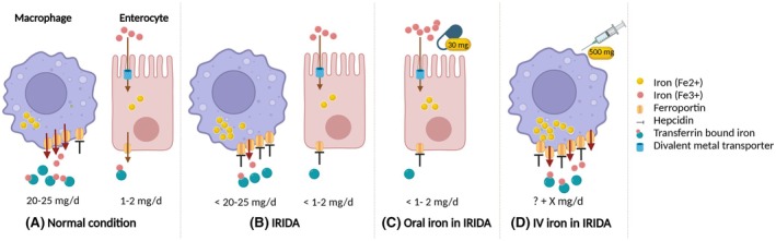 FIGURE 1