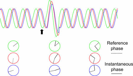 Fig. 3.