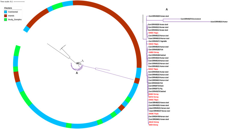 FIGURE 2