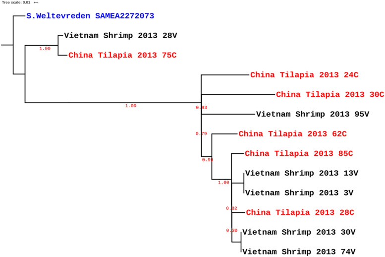 FIGURE 1