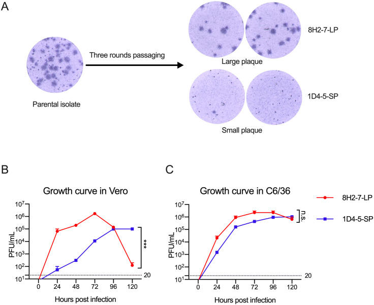 Fig. 1