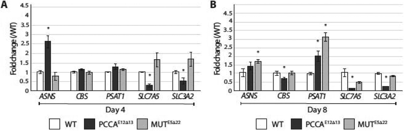 Fig. 6.