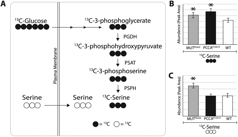 Figure 7.