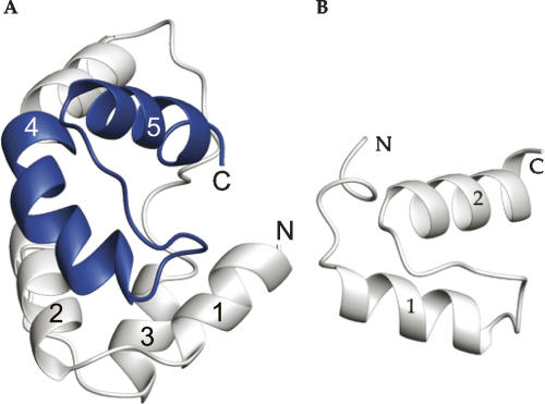 Figure 5.