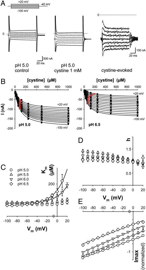 Fig. 3.