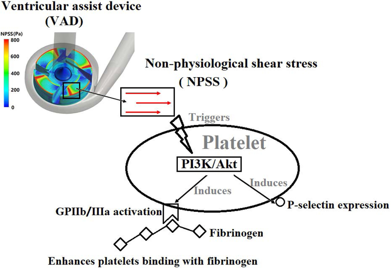 Fig. 7