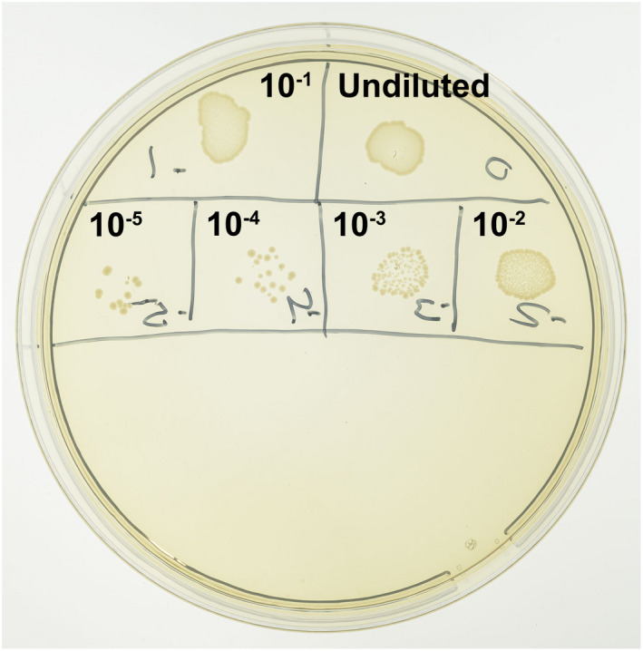 FIGURE 3