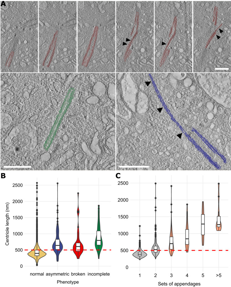 Fig. 4