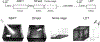 Fig1