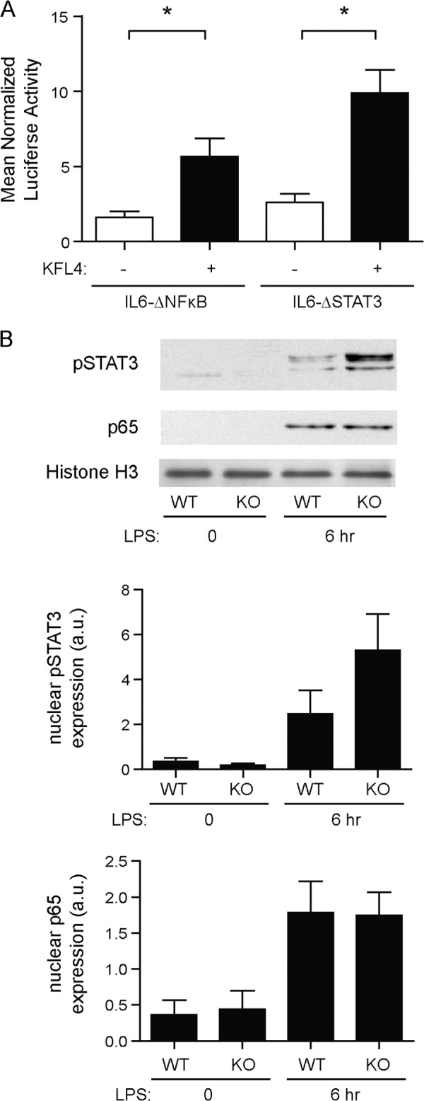 FIGURE 4.