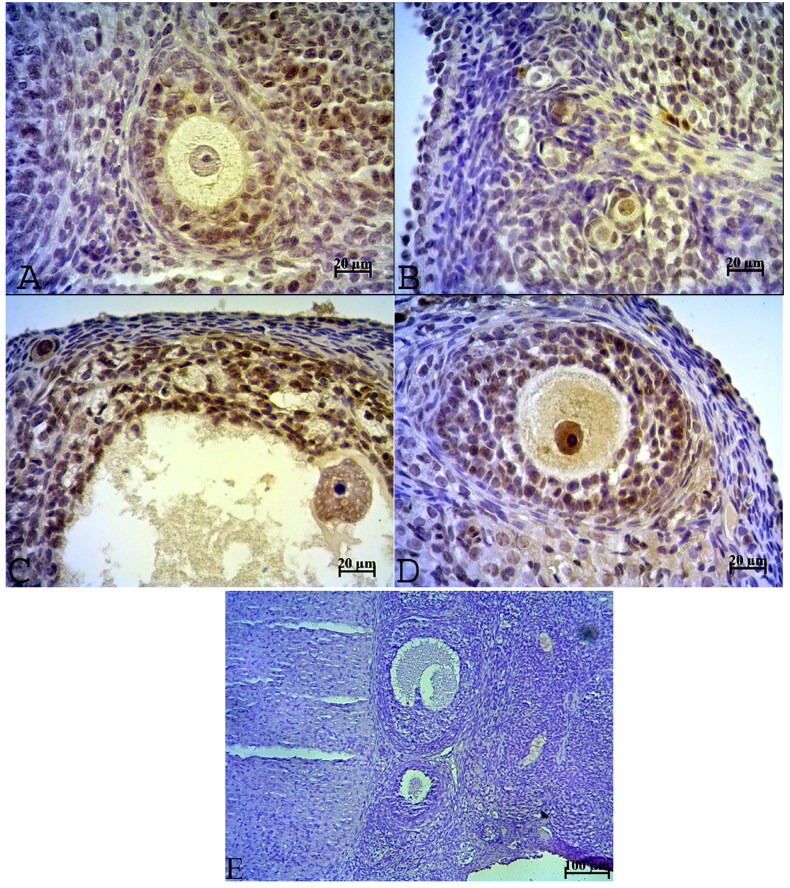 Figure 9.