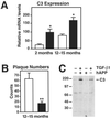 Fig 1.