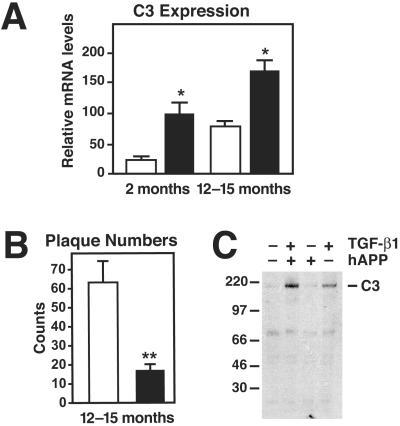 Fig 1.