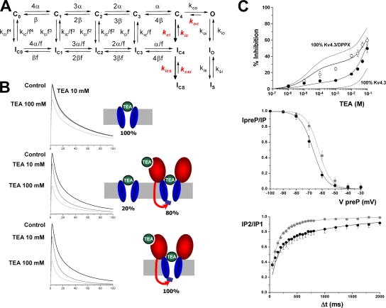 Figure 10.