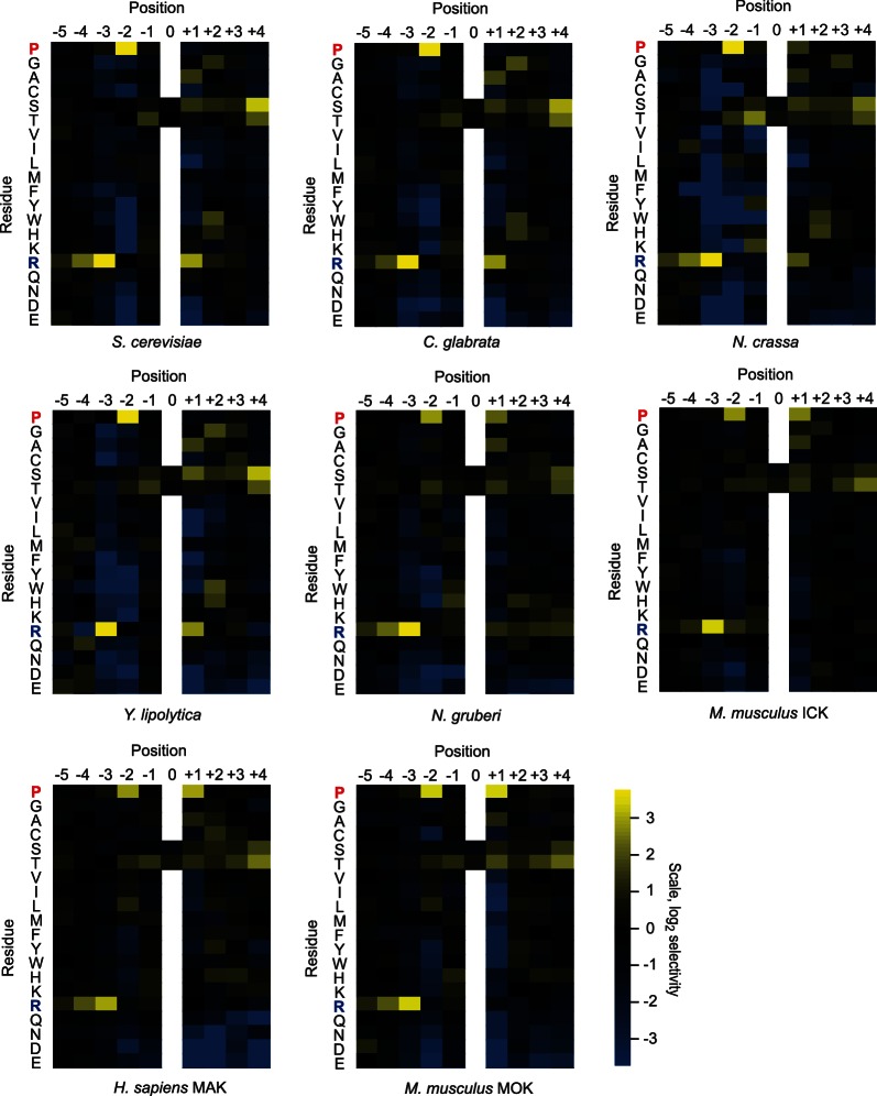 Figure 1—figure supplement 2.