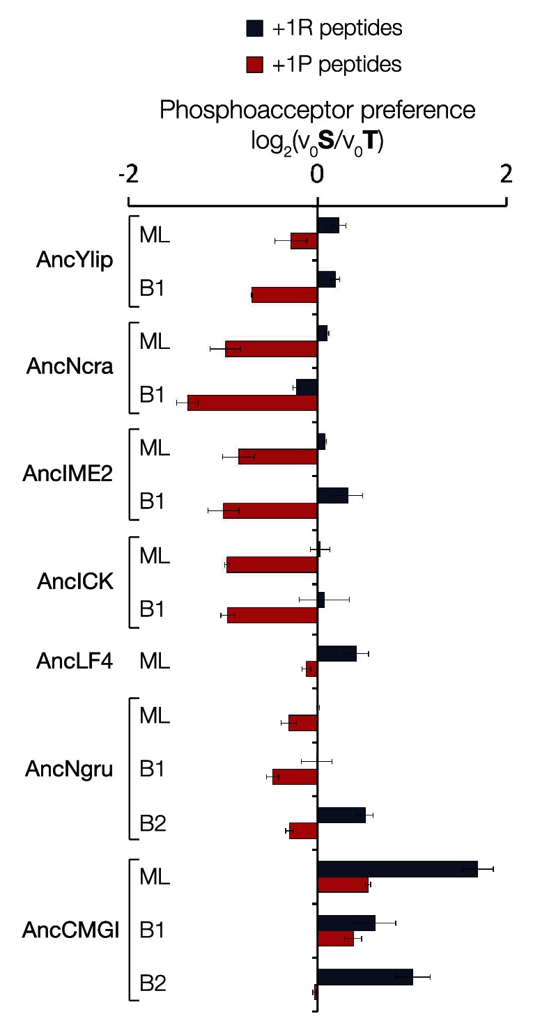 Figure 4—figure supplement 4.