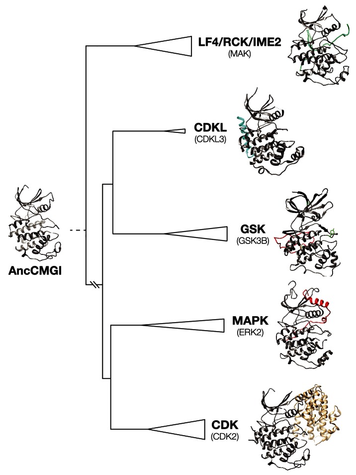 Figure 2—figure supplement 3.