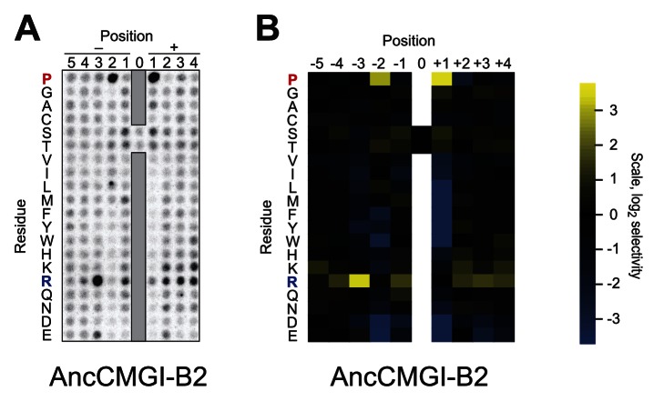 Figure 2—figure supplement 2.