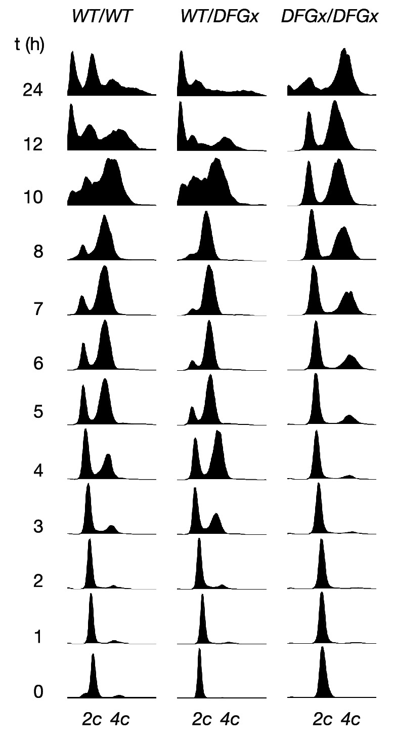 Figure 5—figure supplement 2.