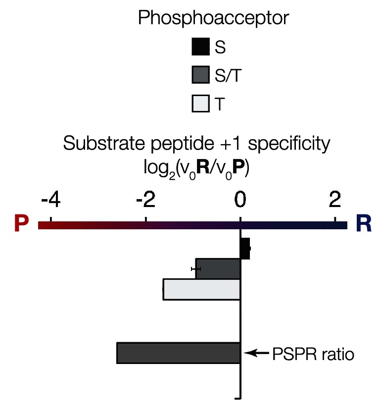 Figure 4—figure supplement 1.