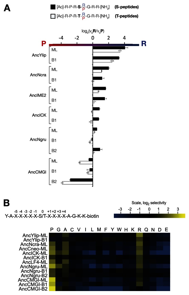 Figure 3—figure supplement 2.