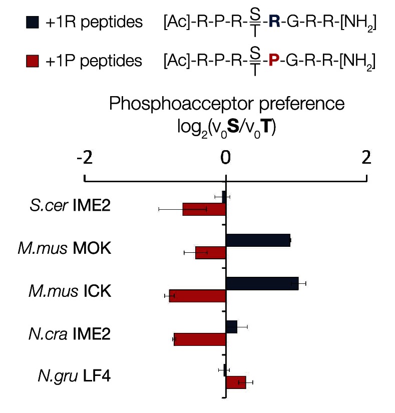 Figure 4—figure supplement 3.