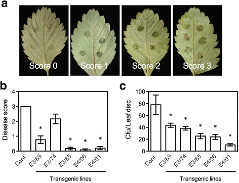 Fig. 5