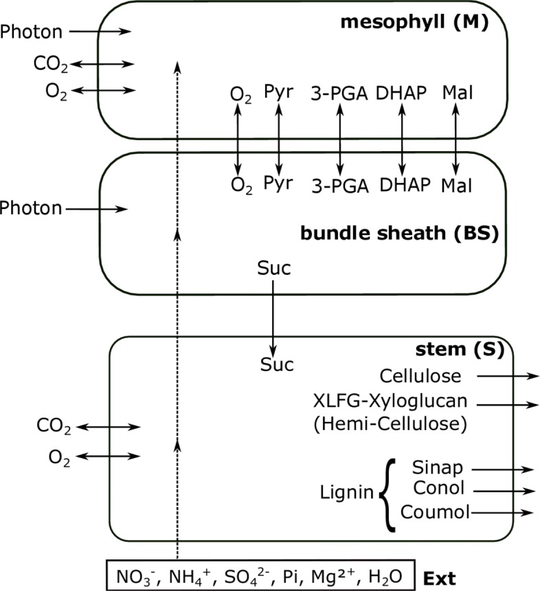 Fig. 2