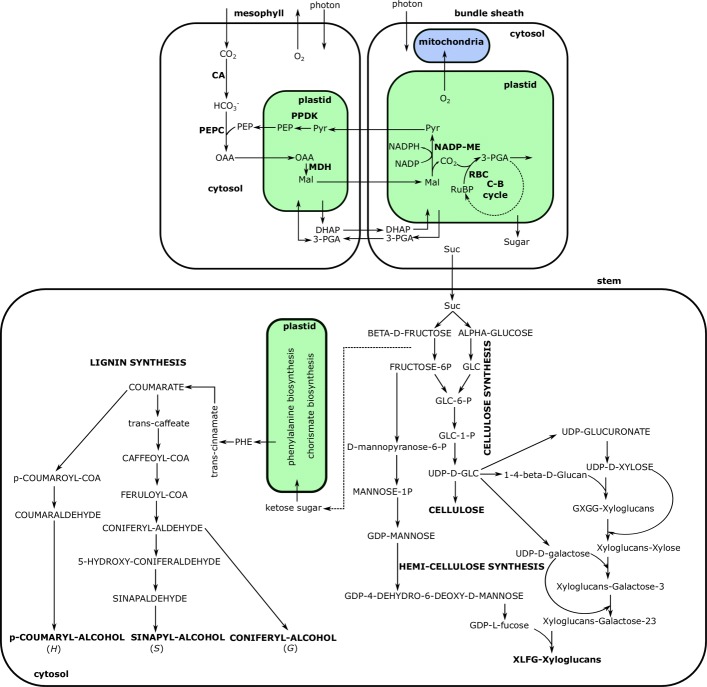 Fig. 4